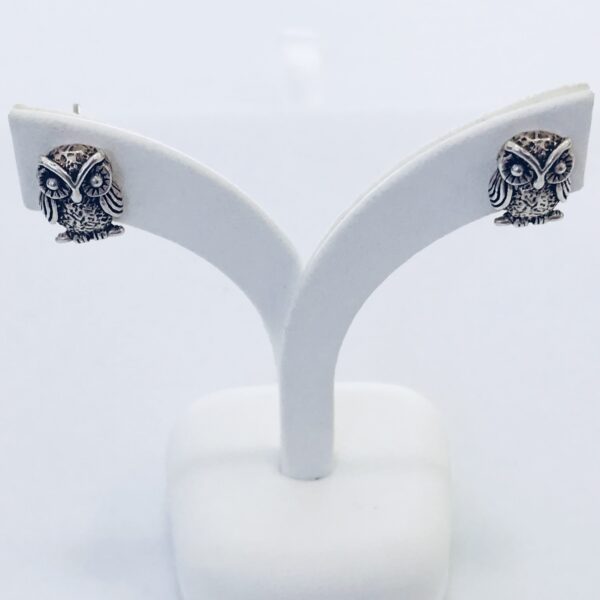 Caravana Plata 925 Buho