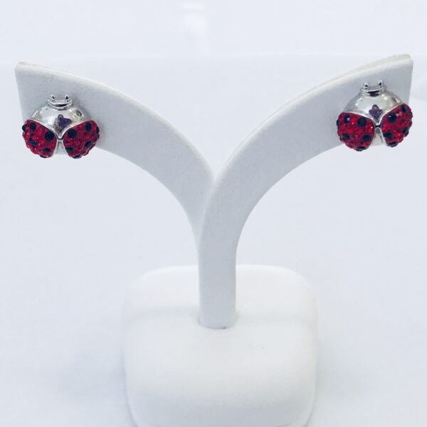 Caravanas Plata 925 San Antonio