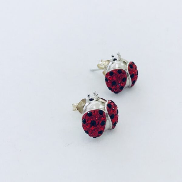 Caravanas Plata 925 San Antonio