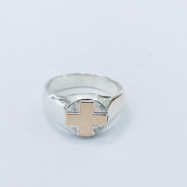 Anillo Plata y oro Profesion