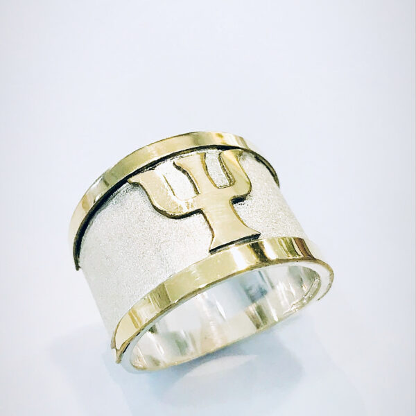 Anillo Plata y oro Profesion