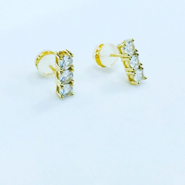 Caravanas Goldplated Plata 925