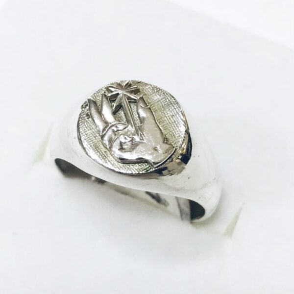 Anillo Plata Profesión